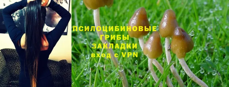 Галлюциногенные грибы Magic Shrooms  мега онион  Тырныауз  купить наркоту 